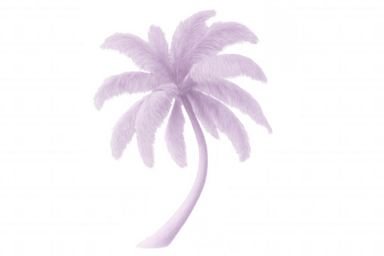 Fluffy pink palm tree isolated on transparent background, perfect for exotic and surreal projects