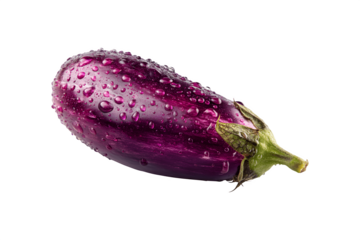A single purple eggplant covered with water droplets