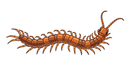 Detailed cartoon depiction of a centipede crawling, exhibiting its many legs and segmented body against a blank background