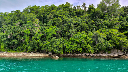 Tropical coastline with dense green forest and clear turquoise water under a cloudy sky.