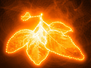 leaf