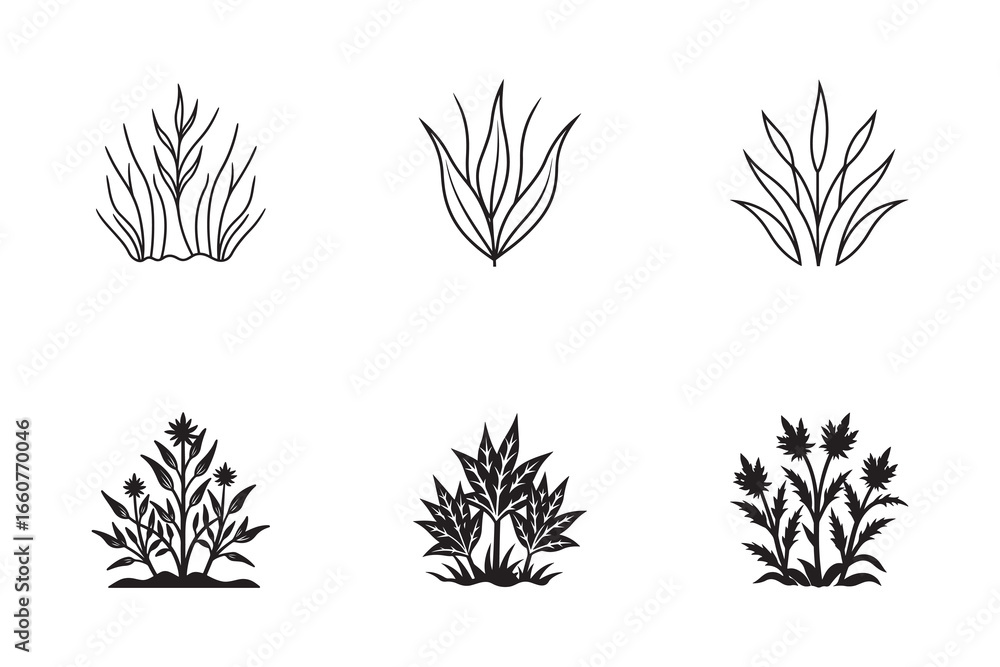 Poster vector illustration of various plant groupings in simple graphic design suitable for botanical studi