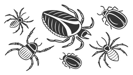Set of hand drawn insects, vintage beetles and spiders collection, decorative design elements for halloween or zoology projects, vector illustration