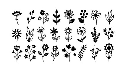 Set of handdrawn floral elements, including flowers, leaves, and branches for decoration, design, and botanical illustration