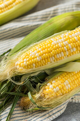 Raw Organic Sweet Corn on the Cob