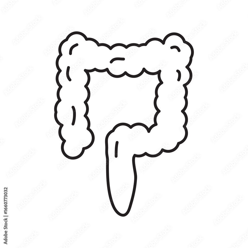 Poster large intestine icon isolated flat vector in outline vector illustration for web and app..eps