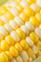 Raw Organic Sweet Corn on the Cob