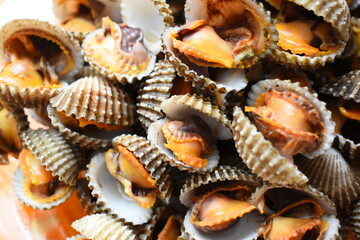 ripe fresh cockle on plate, delicious food in restaurant