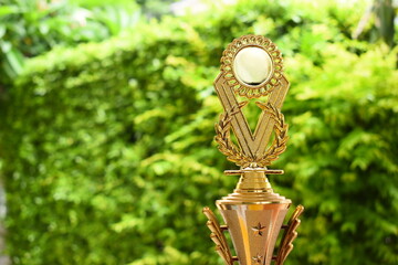 beautiful golden trophy of football contest on green tree background