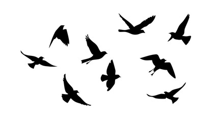 A flock of birds flying in the sky, vector illustration for freedom concept or tattoo design, silhouette of bird migration