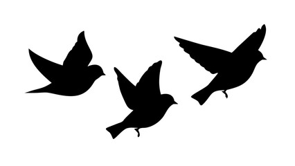 Dynamic silhouettes of birds soaring against a white backdrop, capturing the essence of flight and natural beauty in a simple yet striking composition