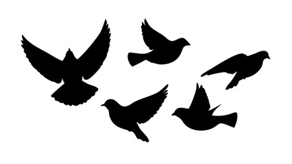 Obraz premium Five bird silhouettes in flight, , conveying a sense of freedom and natural beauty in a simple and elegant design