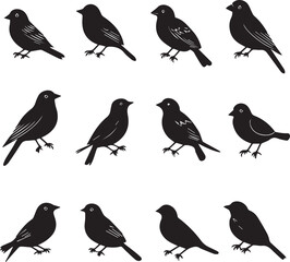 Birds in Assorted Side View Poses Collection