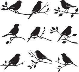 Birds Sitting on Branches in Silhouettes