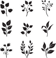 Assorted Silhouettes of Plants and Leaves