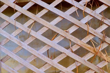 beautifully crafted wooden trellis with a natural brown finish, featuring a checkered pattern and textured surface. Adorned with climbing vines, it blends decorative elegance with the charm of nature,