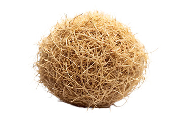 desert tumbleweed isolated on white background, png, ai generated.