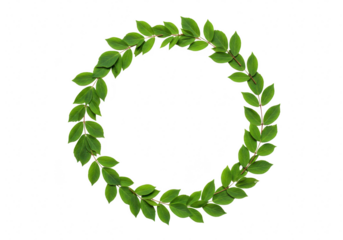 Green leafy wreath isolated on transparent background