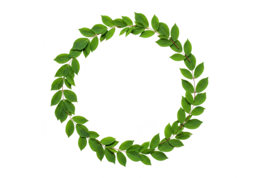 Green leafy wreath isolated on transparent background