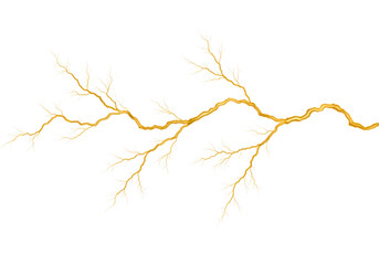 Golden tree branch isolated on transparent background