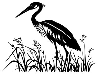 Stork Silhouette Standing Tall in Reeds