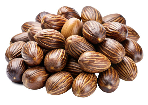 Maripa palm seeds isolated on white background