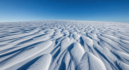 Vast snowfield with wind ripples under a clear blue sky, low horizon