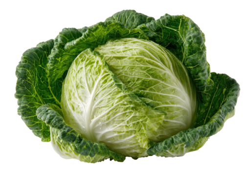Close-up of a whole head of green and white cabbage