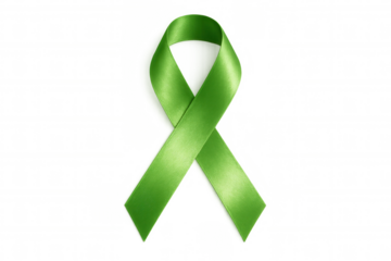 Lime green satin awareness ribbon symbolizing support for mental health, organ donation, and tissue donation, displayed against transparent background