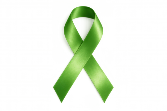 Lime green satin awareness ribbon symbolizing support for mental health, organ donation, and tissue donation, displayed against transparent background