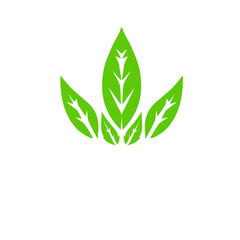 Vibrant green leaves arranged in a symmetrical pattern, symbolizing nature and growth