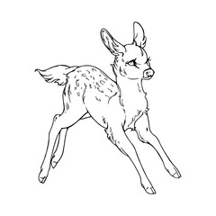 design drawing of a graceful baby deer 