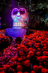 Conmemoración de Día de Muertos en México.