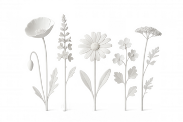 Plaster flowers collection standing out against a transparent background, perfect for design projects