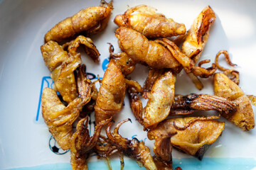 Close-up of Crispy Fried Squid on Plate – Homemade Cooking