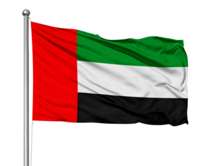 Dubai National Flag – Isolated on White Background