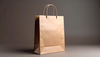 Image of a single brown paper bag stretched out over the handle