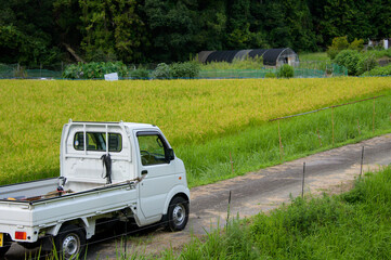 水田横の農道と軽トラック