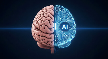Illustration merging the anatomical brain with a circuit board depiction of artificial intelligence emphasizing the convergence of human intellect and computational processing for advanced