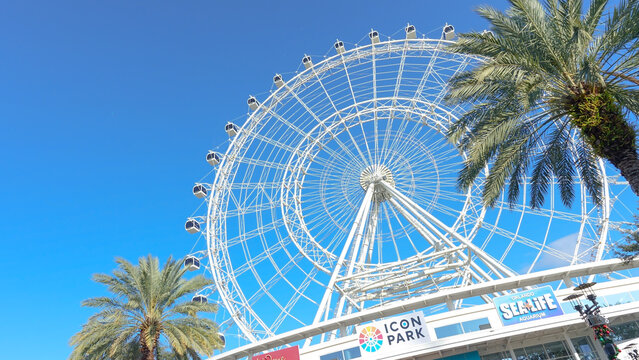 Icon Park Ferris wheel towering over palm trees under a clear blue sky in Orlando, Florida
