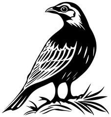 Silhoutte of quail bird