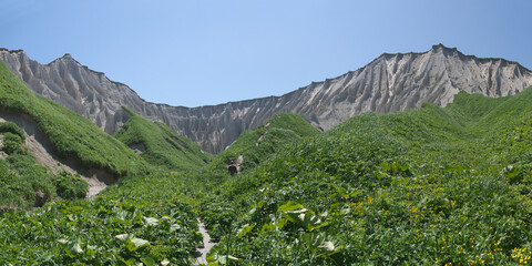 Fototapete bei efototapeten.de bestellen   