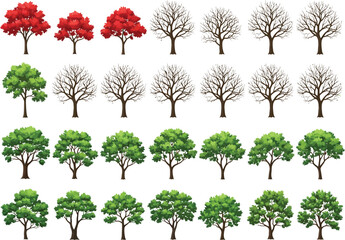 Collection of diverse trees in various stages of seasonal change from vibrant autumn foliage to bare winter branches and lush green summer leaves