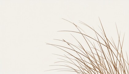 Obraz premium minimalist beige background with dried grass plant and subtle shadows creating a calm and natural atmosphere for design or decoration purposes
