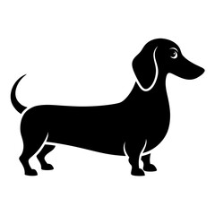 Simple Black Dachshund Illustration