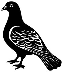 Silhouette of dove bird