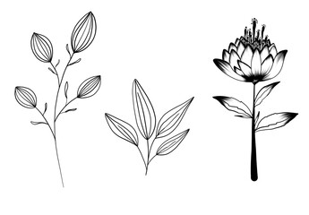 Botanical Line Art Set of Hand-Drawn Floral Elements Vector. Simple Black and White Leaf and Plant Illustrations for Organic, Nature-Inspired Designs.