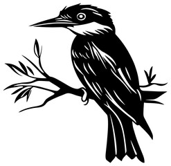 Fototapeta premium Silhouette of kingfisher bird standing on branch