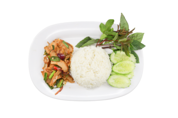 Thai Basil Chicken with Rice: A delicious plate of spicy Thai basil chicken served with fluffy white rice and fresh cucumber slices.