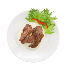 Savory Rice Dish: A top-down view presents a delectable rice dish with tender slices of grilled meat, artfully garnished with vibrant fresh greens and a touch of red chili.